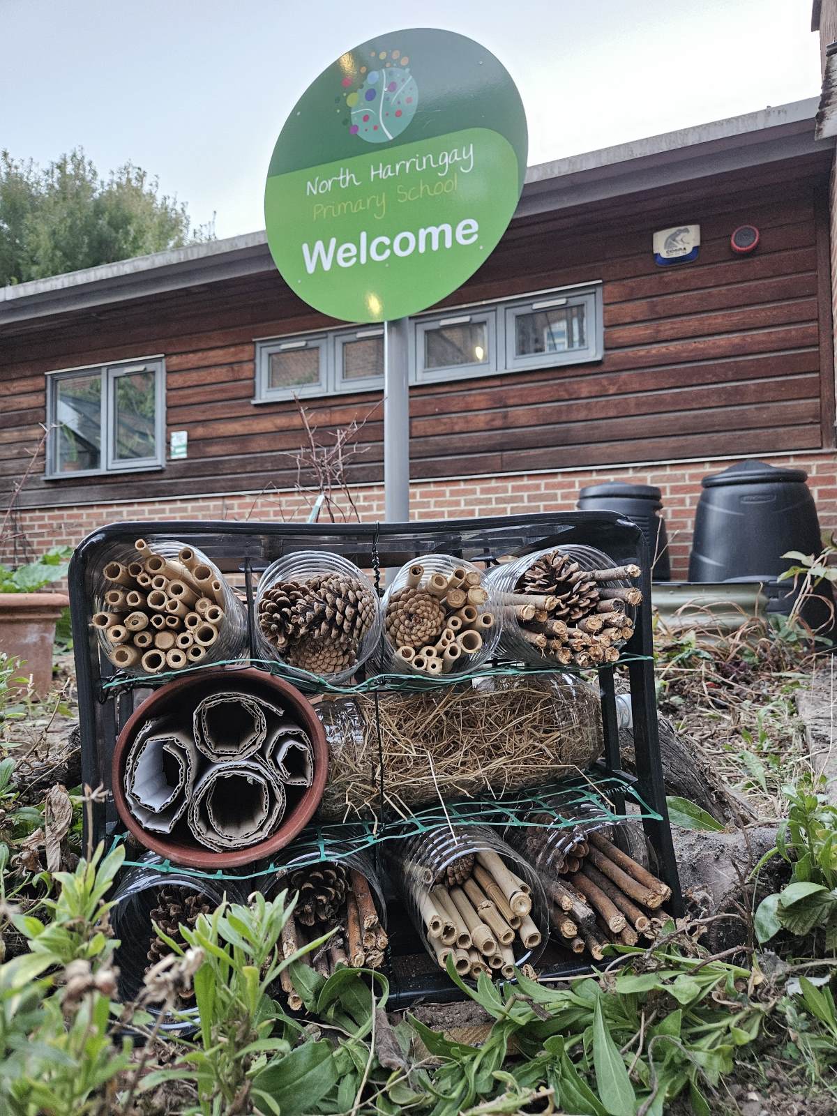 Growing curious minds - new bug hotels in our allotment and Learning in Leaves!